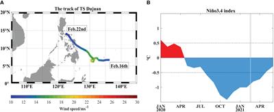 Effects of tropical storm on equatorial Kelvin waves: a study based on both observation and modeling